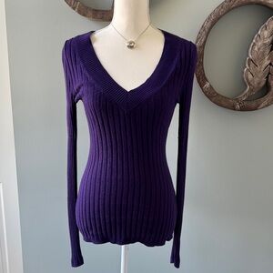 Express Deep Purple Ribbed V-Neck Sweater size M